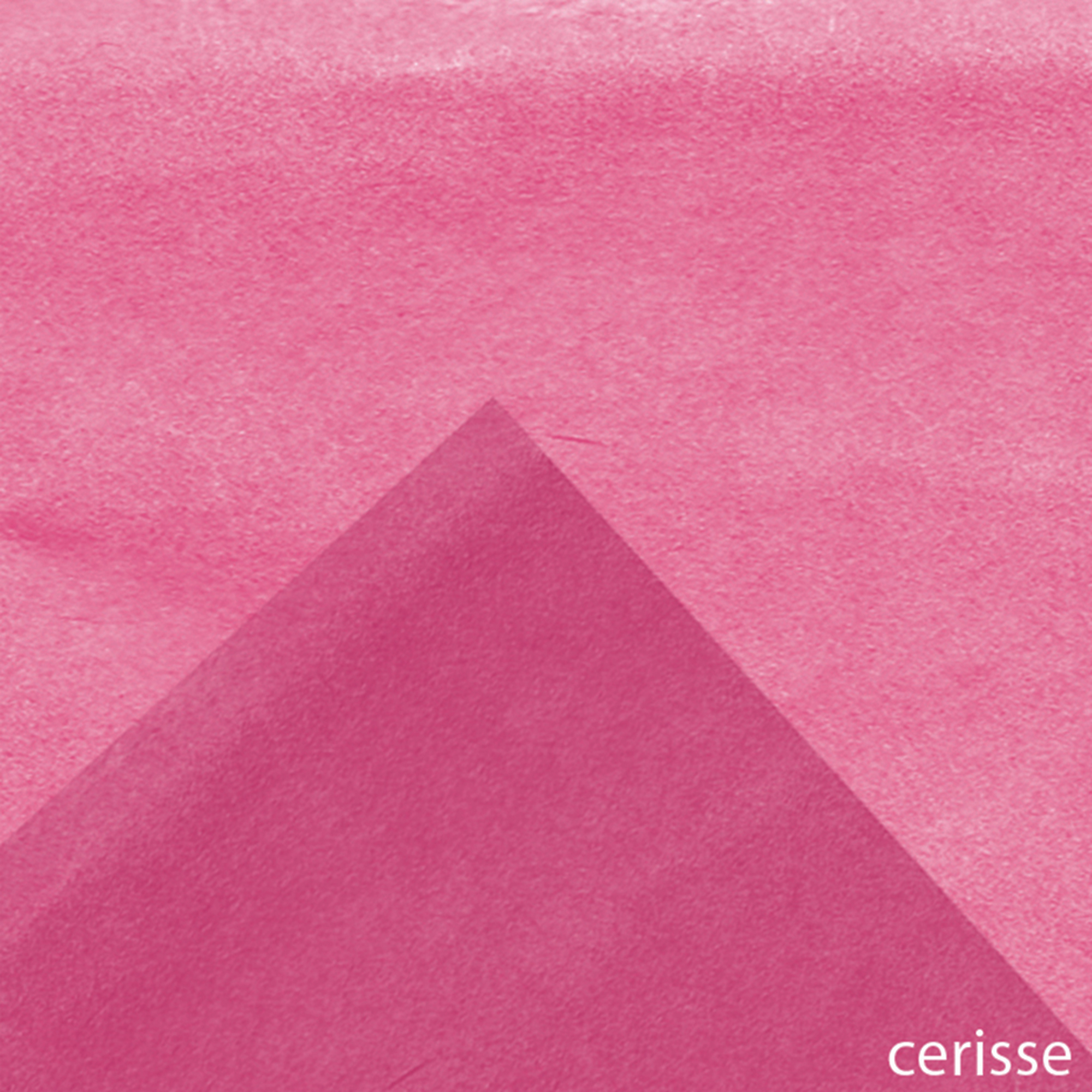 cerisse1-1 edit
