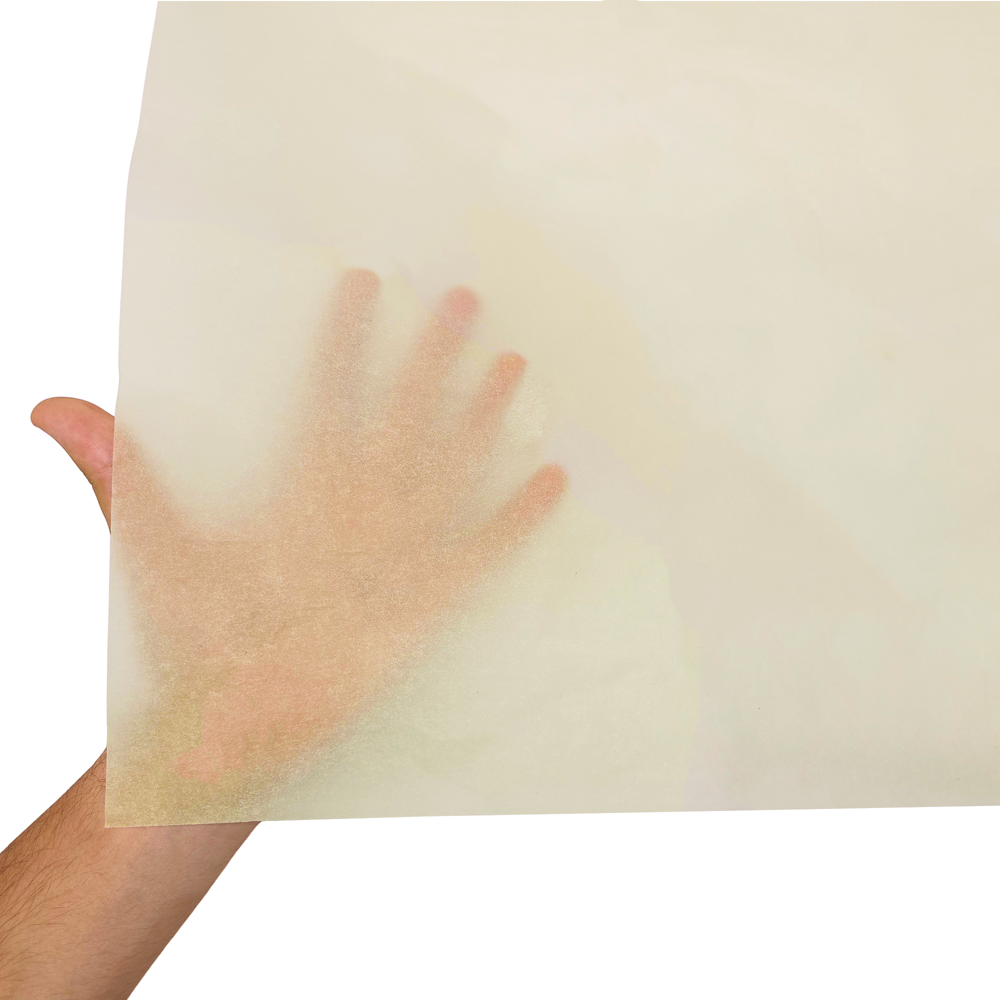 hartie-de-matase-ivory-17g-50x75cm-textura-si-transparenta.jpg Hârtie de mătase ivory, textură și transparență, 17gr – dimensiune 50x75cm
