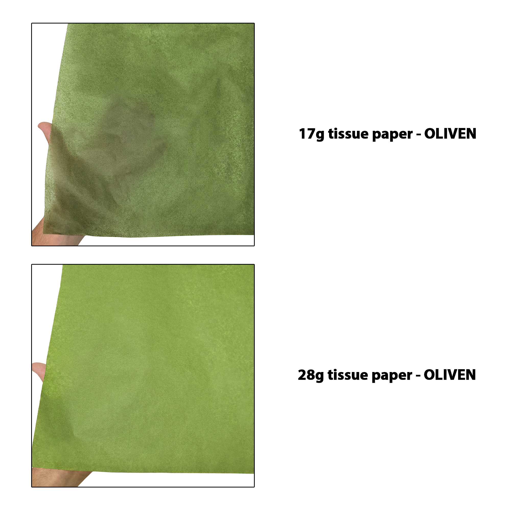 hartie-de-matase-verde-masliniu-17g-vs-28g-50x75cm-comparatie-transparenta.jpg Hârtie de măsline verde-măsliniu, comparație transparențe 17g/m² vs 28g/m², dimensiune 50x75cm